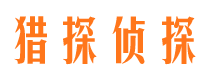 洛宁侦探公司